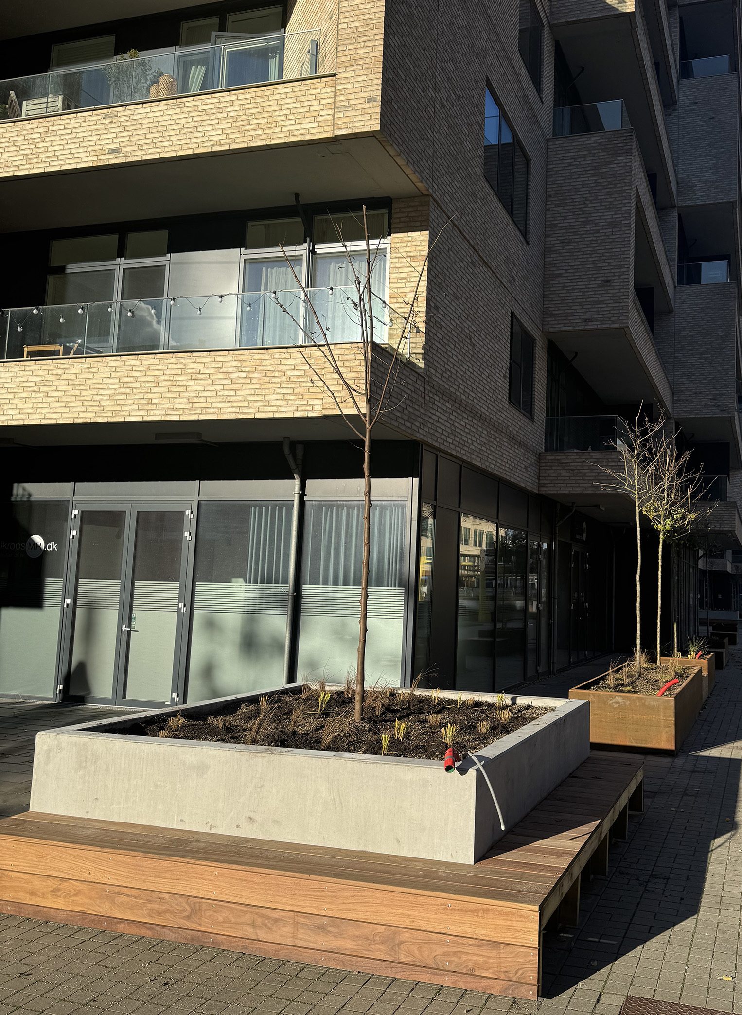 IMG_3246-web-aspect-ratio-1526-2088