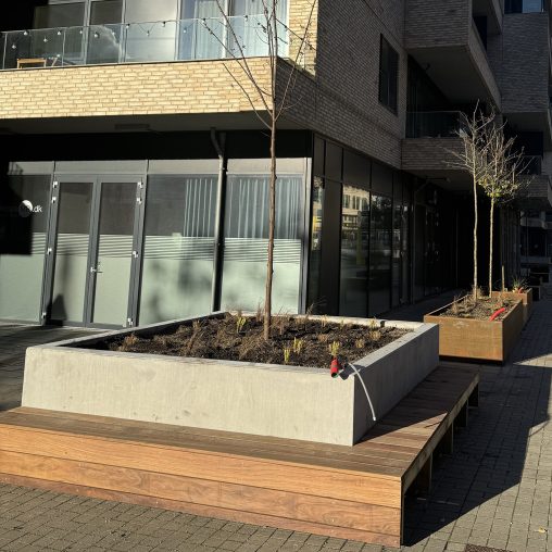 IMG_3246-web-aspect-ratio-508-508