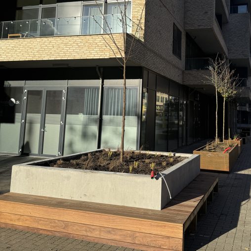 IMG_3246-web-aspect-ratio-508-508