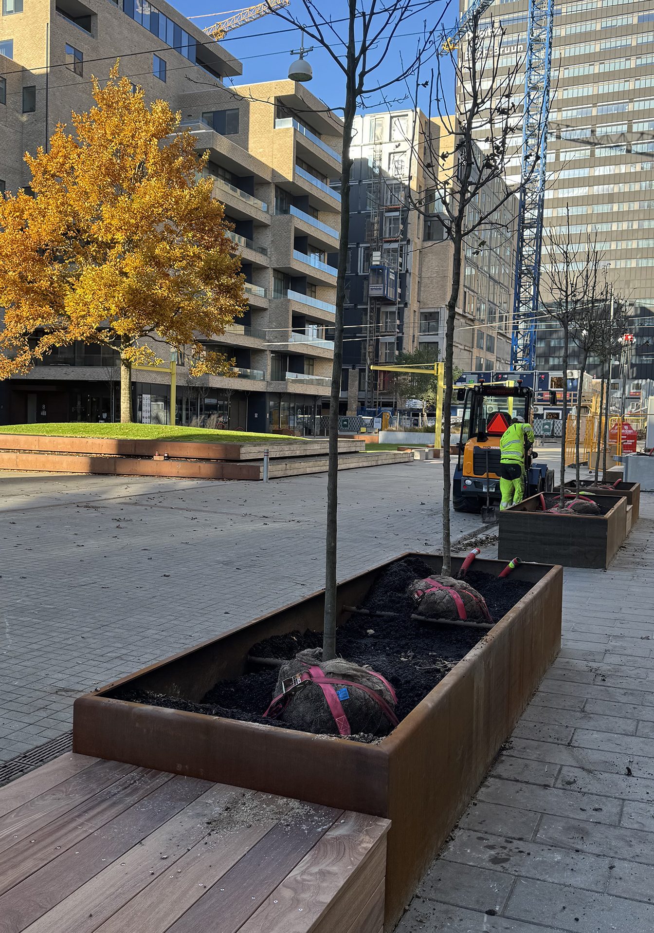 IMG_3248-web-aspect-ratio-1344-1916