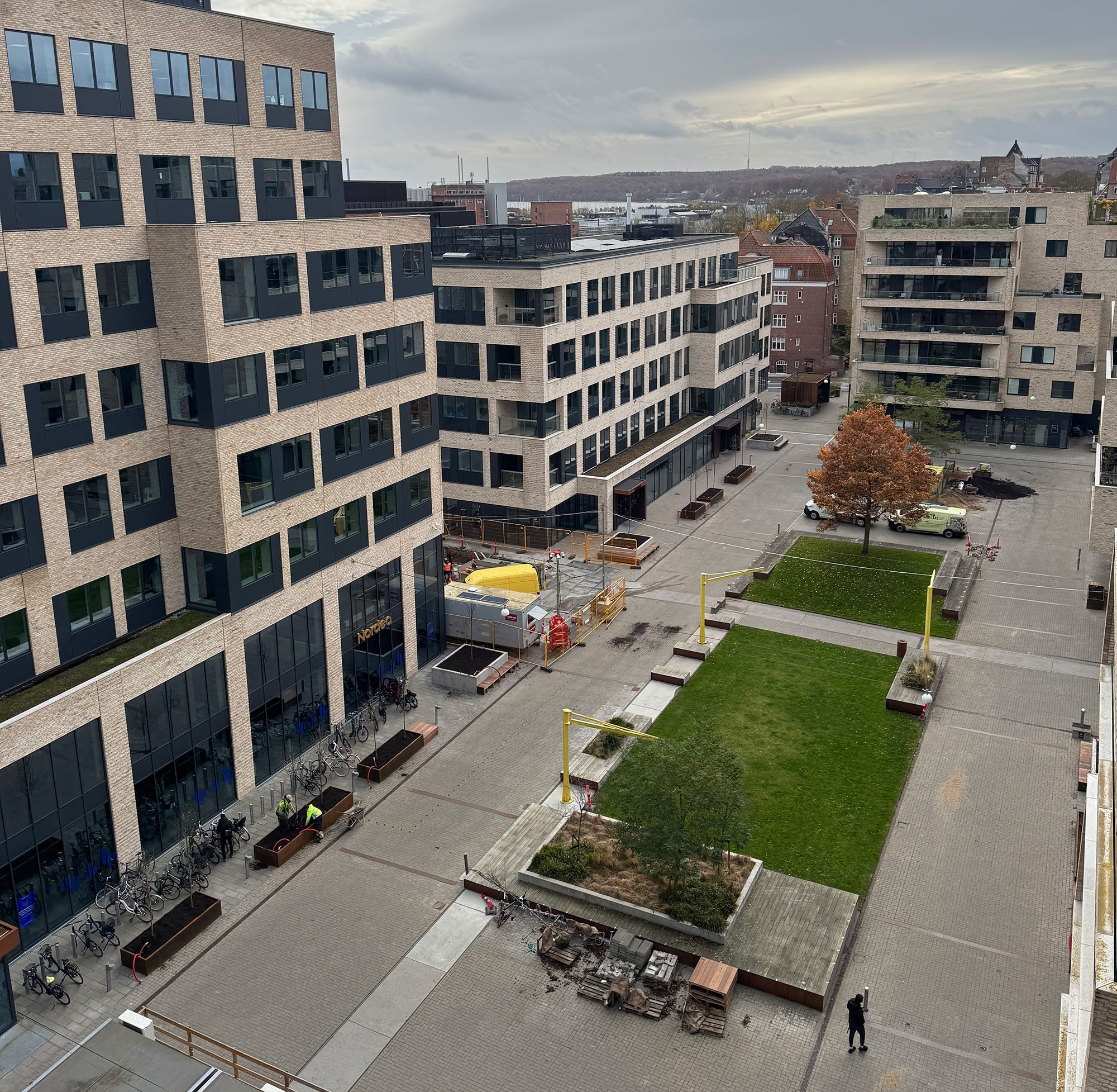 IMG_3295-web-aspect-ratio-2000-1954